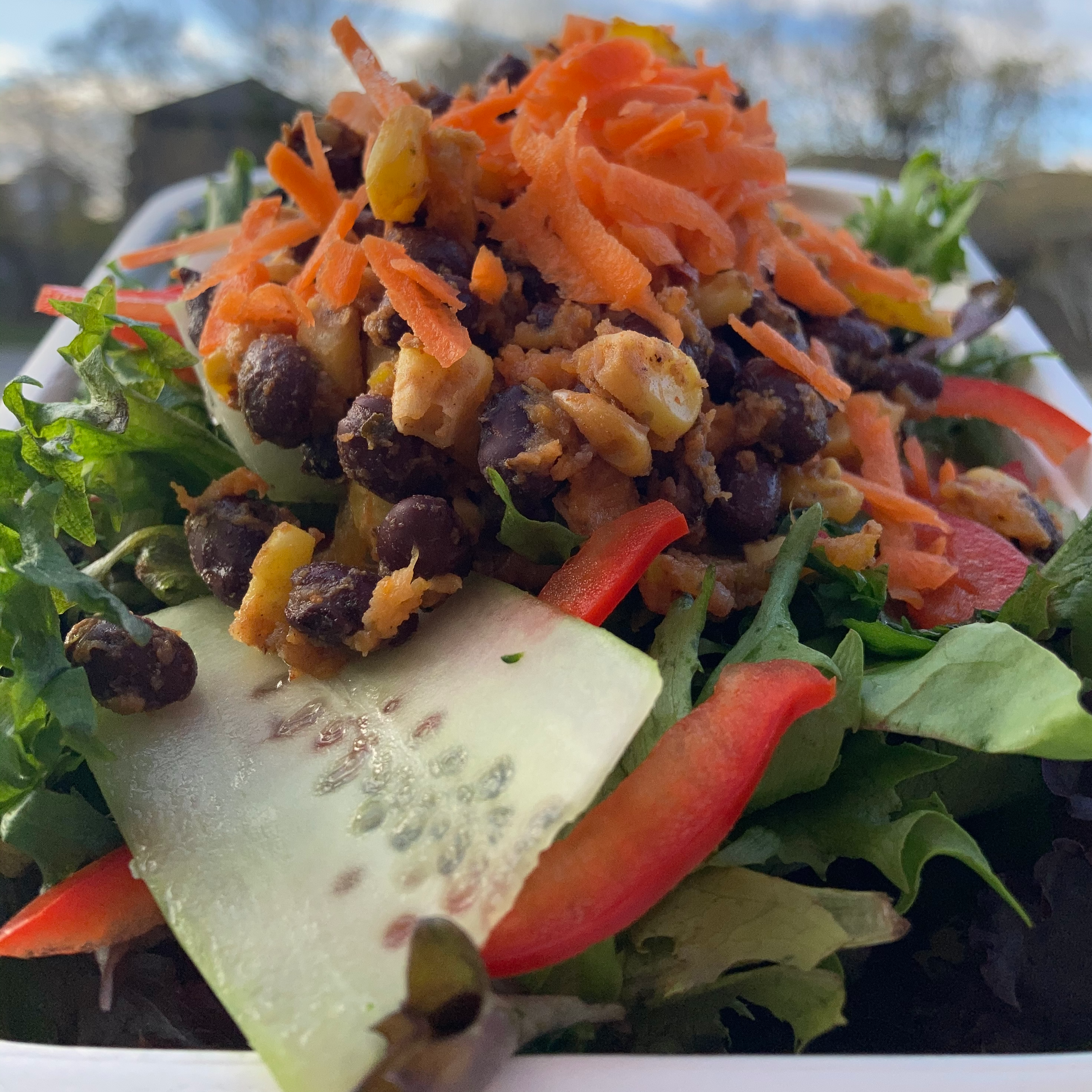 Vegan Fiesta Salads