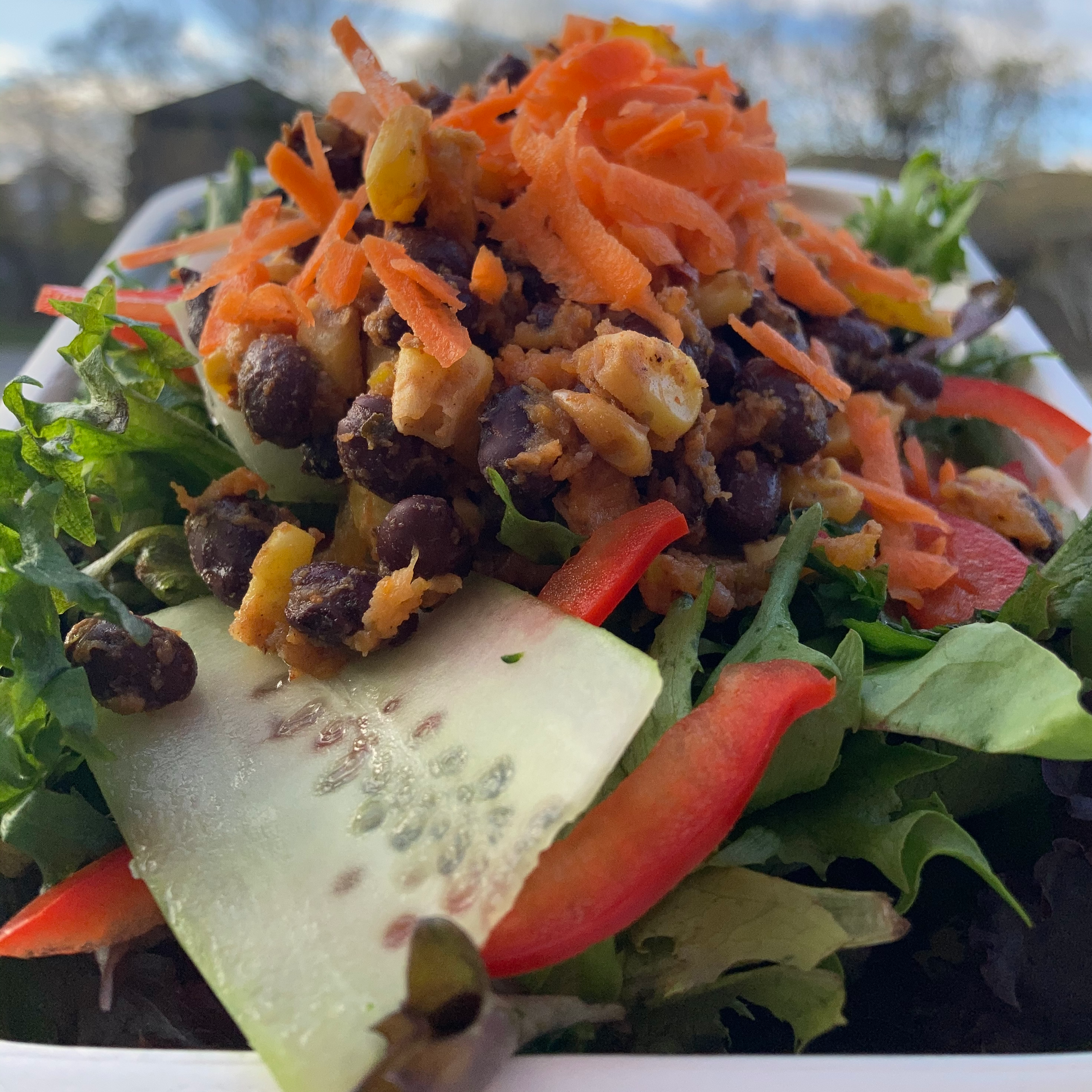 Beechwood Vegan Fiesta Salads